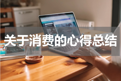 关于消费的心得总结