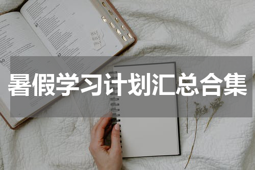 暑假学习计划汇总合集