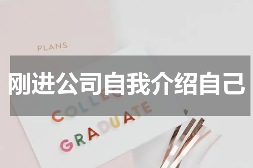 刚进公司自我介绍自己