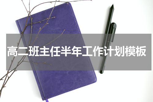 高二班主任半年工作计划模板
