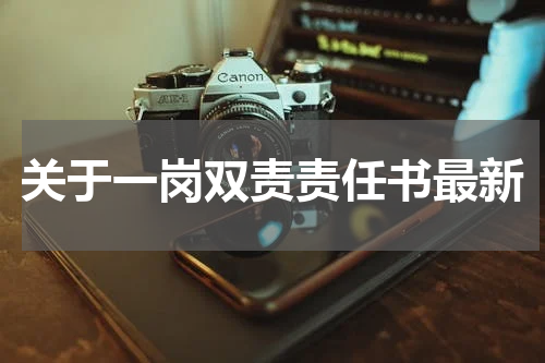 关于一岗双责责任书最新