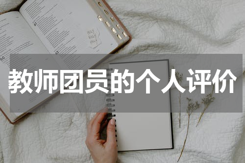 教师团员的个人评价