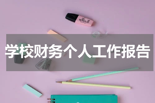学校财务个人工作报告