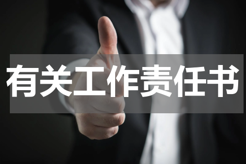 有关工作责任书
