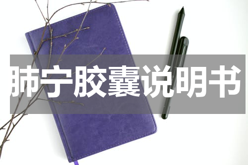 肺宁胶囊说明书