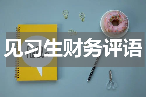 见习生财务评语