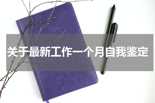 关于最新工作一个月自我鉴定