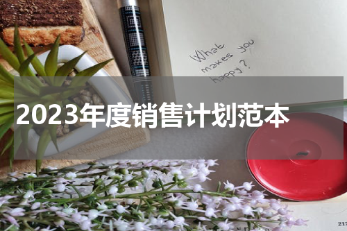 2023年度销售计划范本