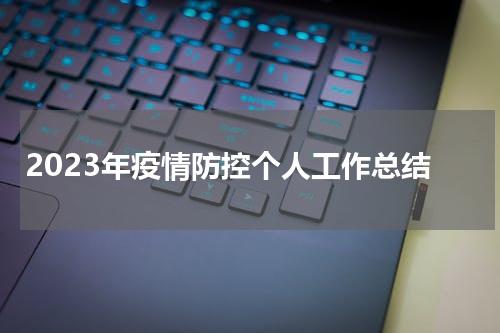 2023年疫情防控个人工作总结