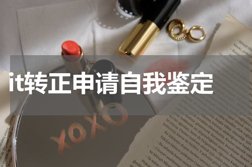 it转正申请自我鉴定