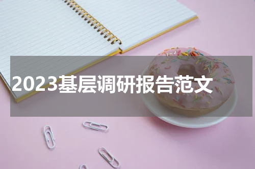 2023基层调研报告范文