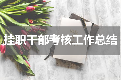 挂职干部考核工作总结