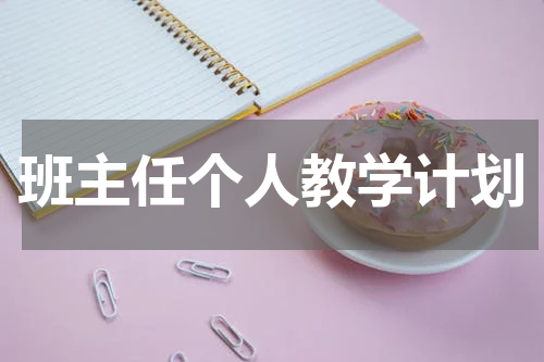 班主任个人教学计划