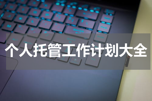个人托管工作计划大全