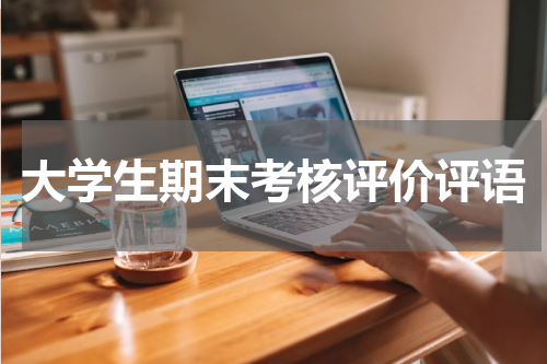 大学生期末考核评价评语