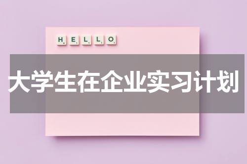 大学生在企业实习计划