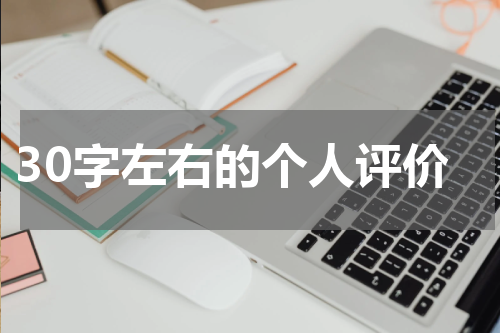 30字左右的个人评价