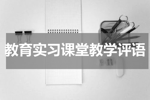 教育实习课堂教学评语