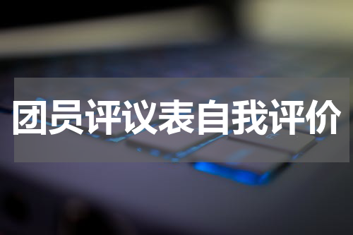 团员评议表自我评价