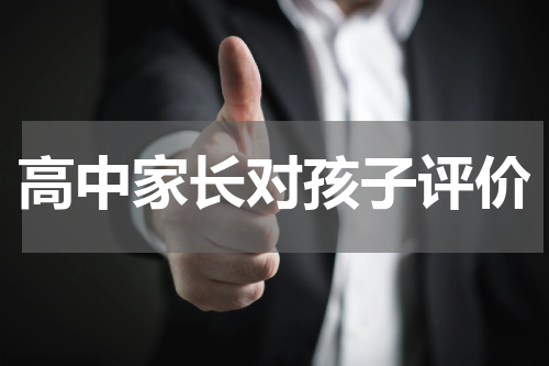 高中家长对孩子评价