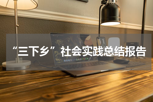 “三下乡”社会实践总结报告
