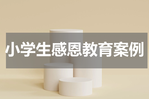 小学生感恩教育案例