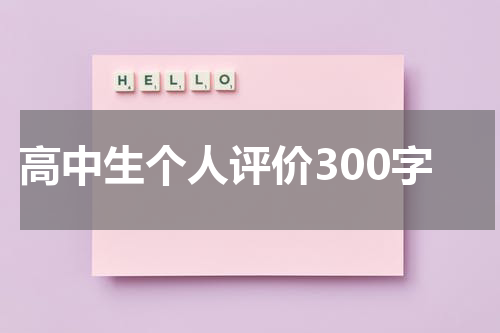 高中生个人评价300字