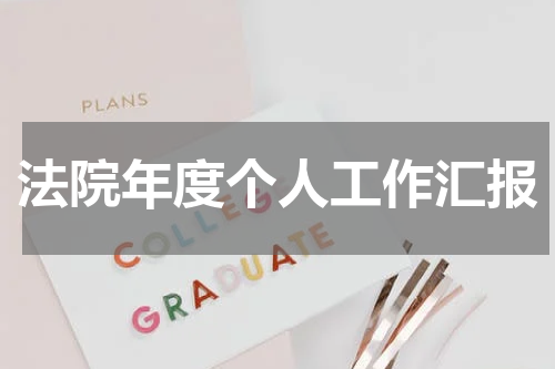 法院年度个人工作汇报