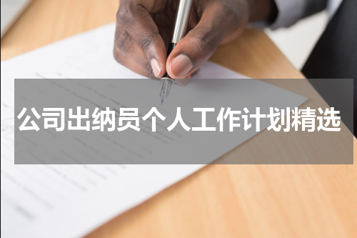 公司出纳员个人工作计划精选