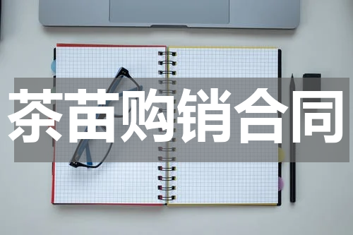 茶苗购销合同