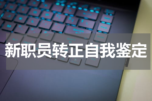 新职员转正自我鉴定