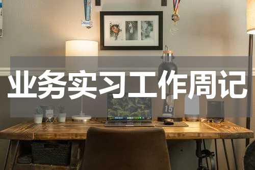 业务实习工作周记