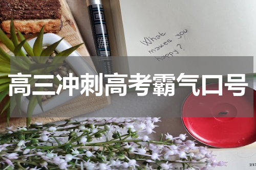 高三冲刺高考霸气口号