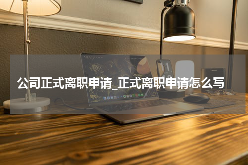公司正式离职申请_正式离职申请怎么写