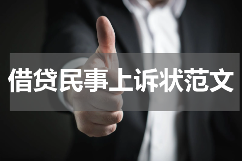 借贷民事上诉状范文