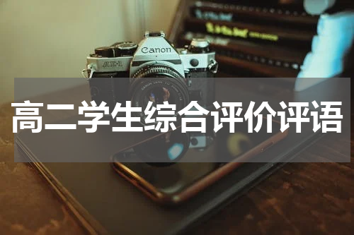 高二学生综合评价评语
