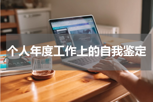 个人年度工作上的自我鉴定