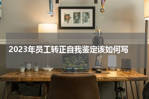 2023年员工转正自我鉴定该如何写