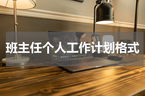 班主任个人工作计划格式