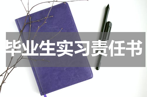 毕业生实习责任书