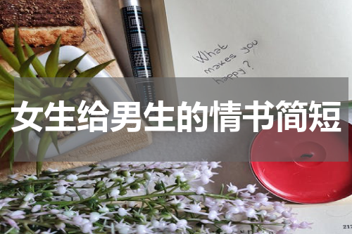女生给男生的情书简短