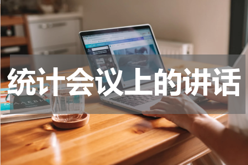 统计会议上的讲话