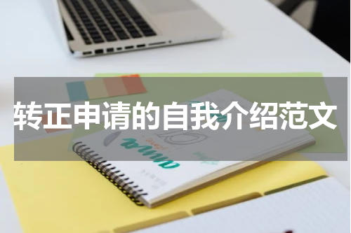 转正申请的自我介绍范文