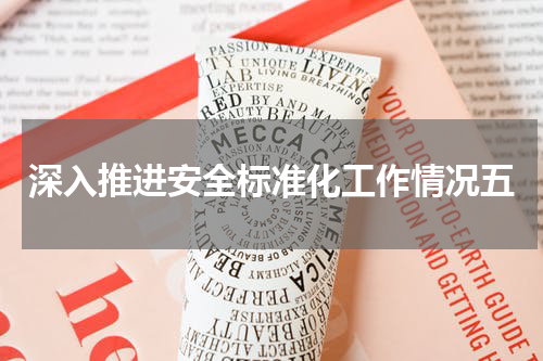 深入推进安全标准化工作情况五