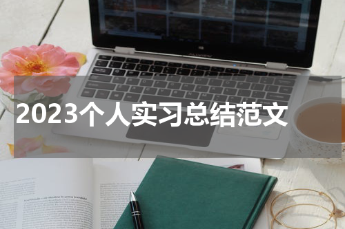 2023个人实习总结范文