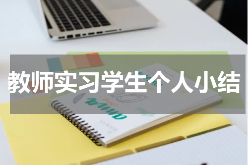 教师实习学生个人小结