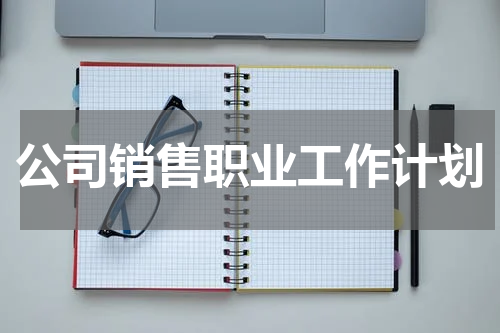 公司销售职业工作计划