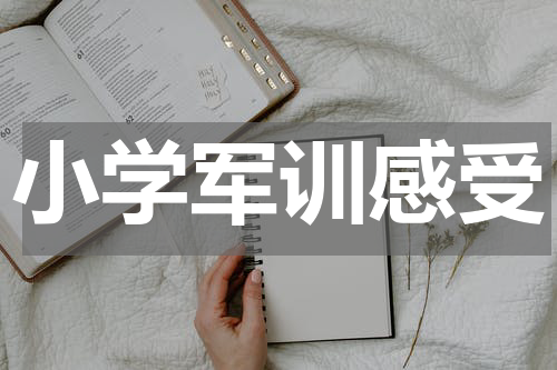小学军训感受