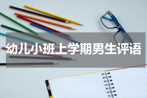 幼儿小班上学期男生评语