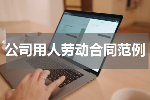 公司用人劳动合同范例